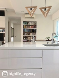 The Regency At Tiong Bahru (D3), Condominium #178648502